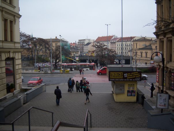 photo41.jpg
